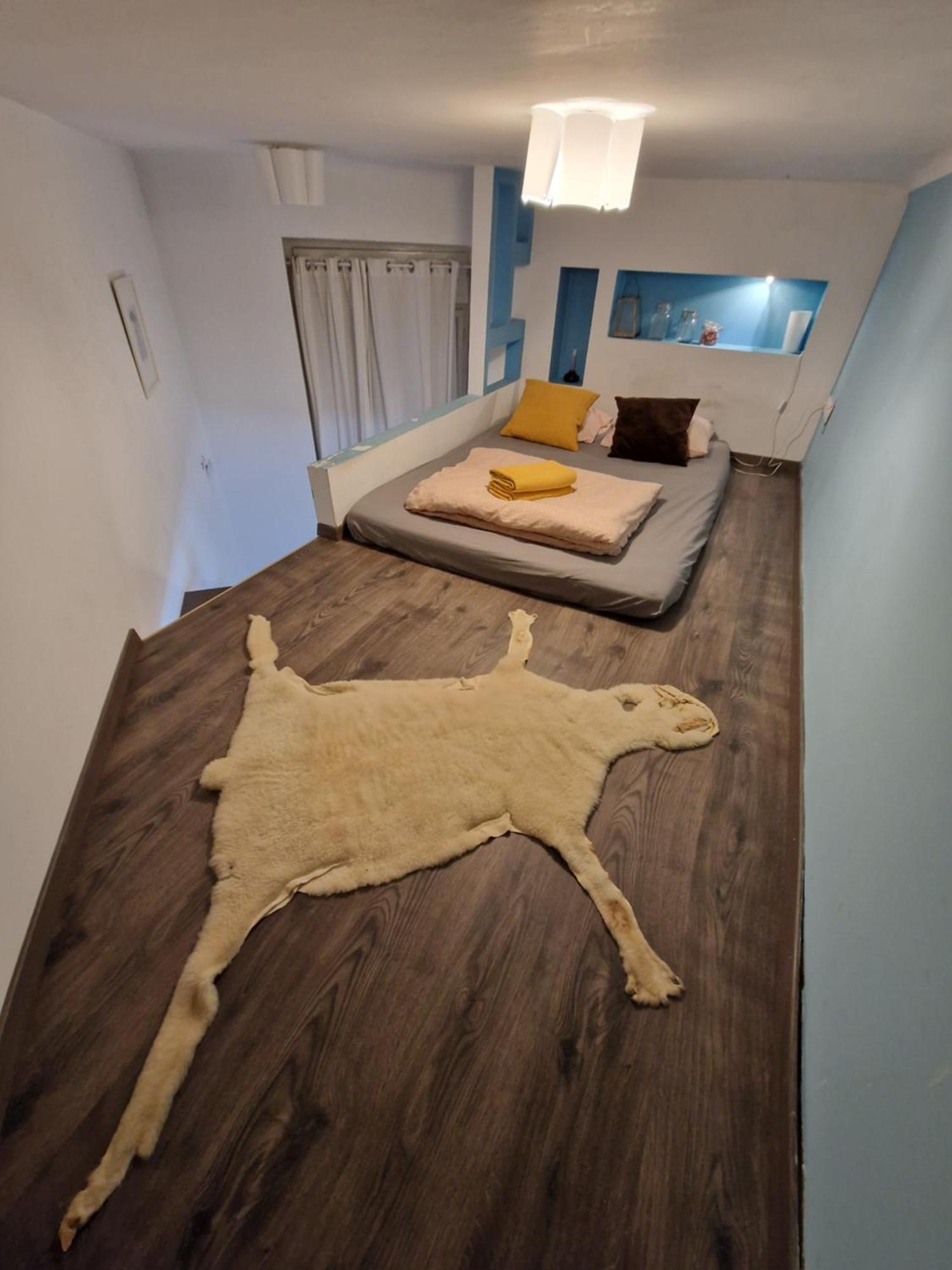 Turquoise Lofts Alloggio in famiglia *